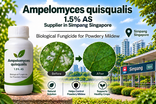 Ampelomyces quisqualis 1.5% AS Supplier in Simpang Singapore | Biological Fungicide for Powdery Mildew