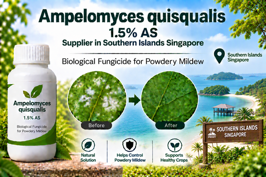 Ampelomyces quisqualis 1.5% AS Supplier in Southern Islands Singapore | Biological Fungicide for Powdery Mildew