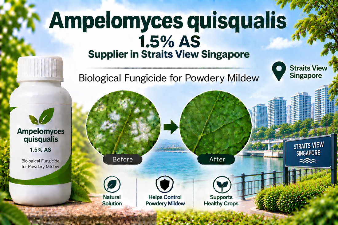 Ampelomyces quisqualis 1.5% AS Supplier in Straits View Singapore | Biological Fungicide for Powdery Mildew