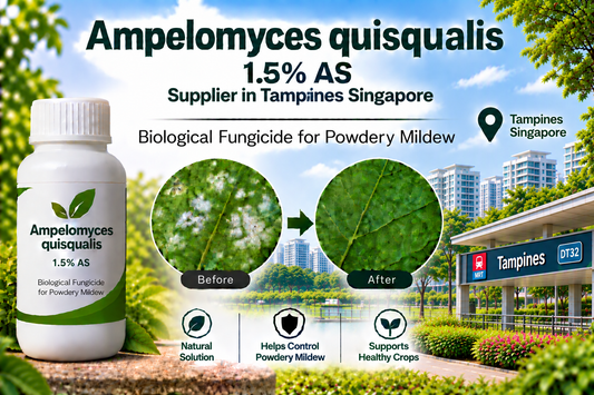 Ampelomyces quisqualis 1.5% AS Supplier in Tampines Singapore | Biological Fungicide for Powdery Mildew