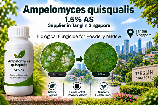 Ampelomyces quisqualis 1.5% AS Supplier in Tanglin Singapore | Biological Fungicide for Powdery Mildew
