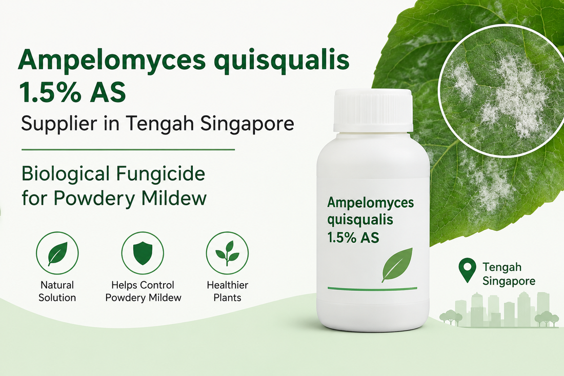 Ampelomyces quisqualis 1.5% AS Supplier in Tengah Singapore | Biological Fungicide for Powdery Mildew