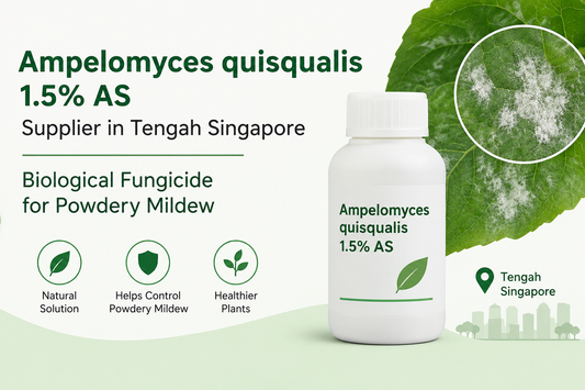 Ampelomyces quisqualis 1.5% AS Supplier in Tengah Singapore | Biological Fungicide for Powdery Mildew