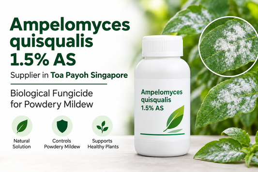 Ampelomyces quisqualis 1.5% AS Supplier in Toa Payoh Singapore | Biological Fungicide for Powdery Mildew