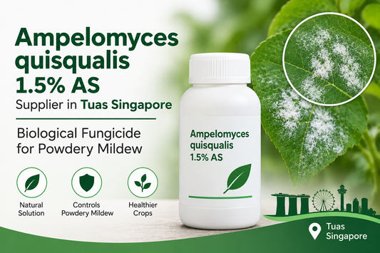 Ampelomyces quisqualis 1.5% AS Supplier in Tuas Singapore | Biological Fungicide for Powdery Mildew
