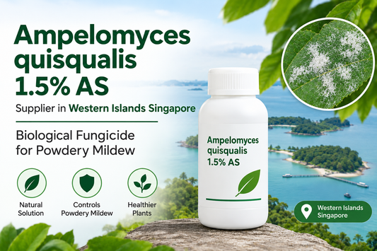 Ampelomyces quisqualis 1.5% AS Supplier in Western Islands Singapore | Biological Fungicide for Powdery Mildew