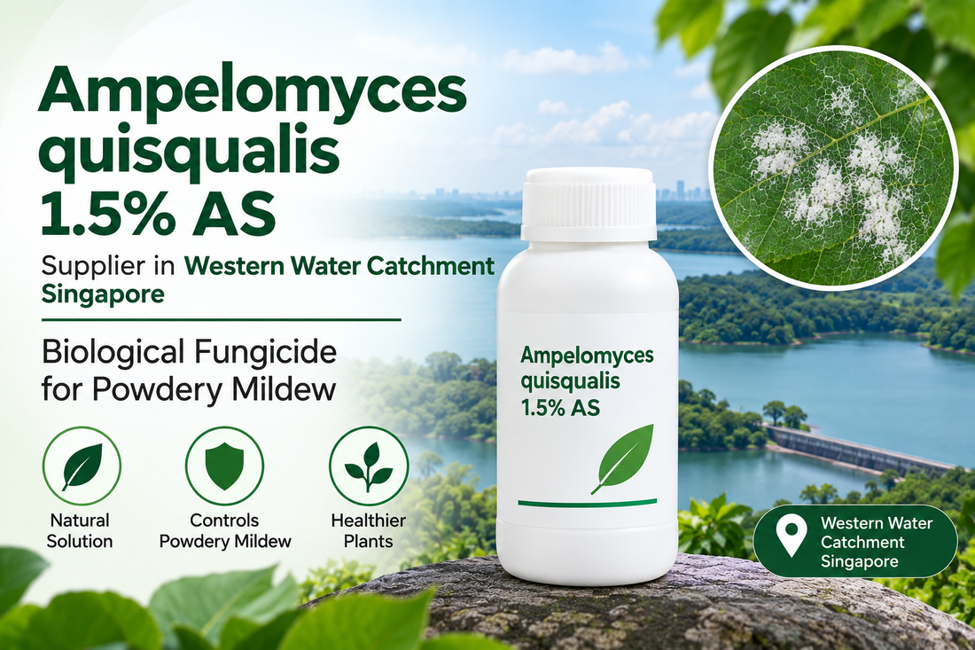 Ampelomyces quisqualis 1.5% AS Supplier in Western Water Catchment Singapore | Biological Fungicide for Powdery Mildew