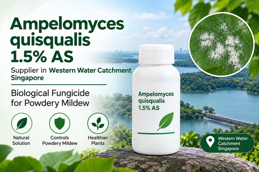 Ampelomyces quisqualis 1.5% AS Supplier in Western Water Catchment Singapore | Biological Fungicide for Powdery Mildew