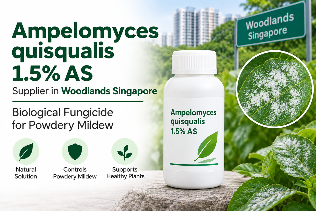 Ampelomyces quisqualis 1.5% AS Supplier in Woodlands Singapore | Biological Fungicide for Powdery Mildew