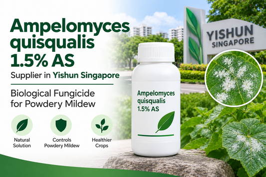 Ampelomyces quisqualis 1.5% AS Supplier in Yishun Singapore | Biological Fungicide for Powdery Mildew