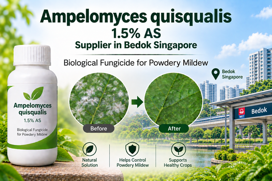 Ampelomyces quisqualis 1.5% AS Supplier in Bedok Singapore | Biological Fungicide for Powdery Mildew