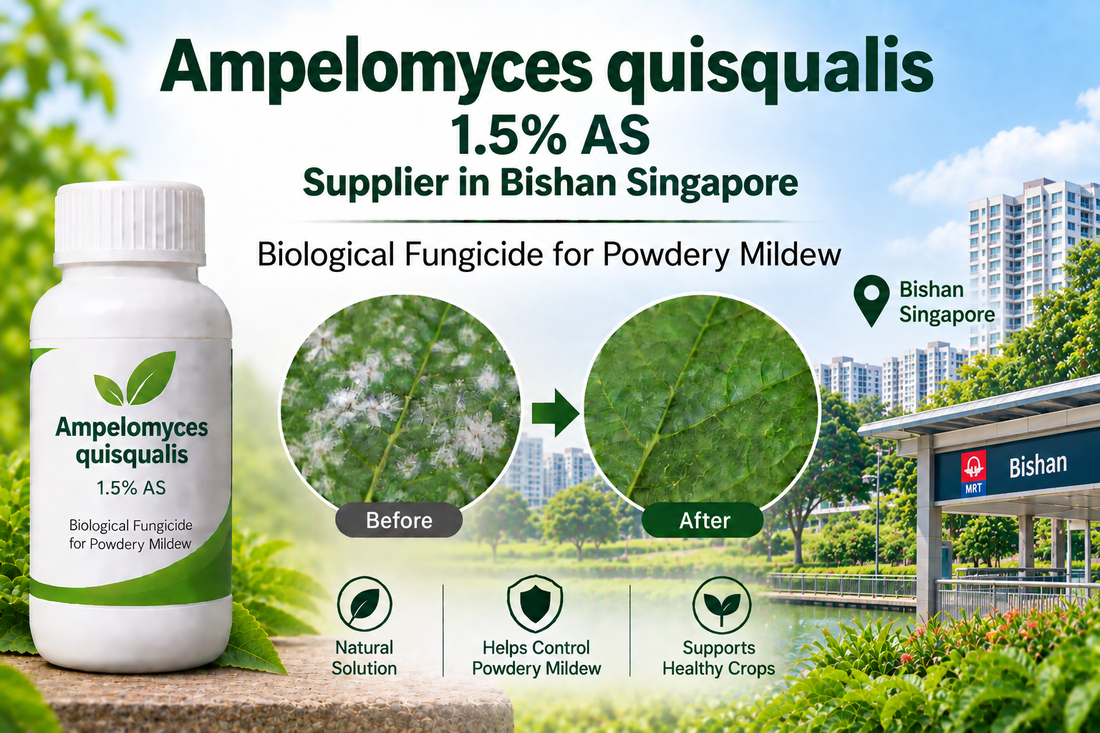 Ampelomyces quisqualis 1.5% AS Supplier in Bishan Singapore | Biological Fungicide for Powdery Mildew