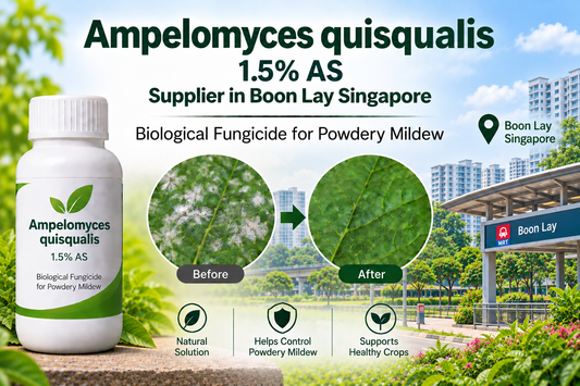 Ampelomyces quisqualis 1.5% AS Supplier in Boon Lay Singapore | Biological Fungicide for Powdery Mildew