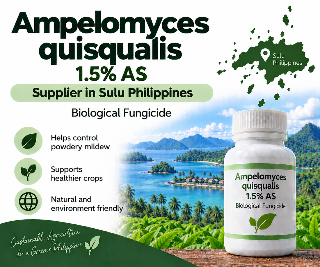 Ampelomyces quisqualis 1.5% AS Supplier in Sulu Philippines | Biological Fungicide