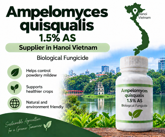 Ampelomyces quisqualis 1.5% AS Supplier in Hanoi Vietnam | Biological Fungicide