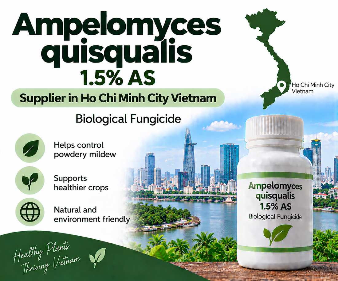 Ampelomyces quisqualis 1.5% AS Supplier in Ho Chi Minh City Vietnam | Biological Fungicide