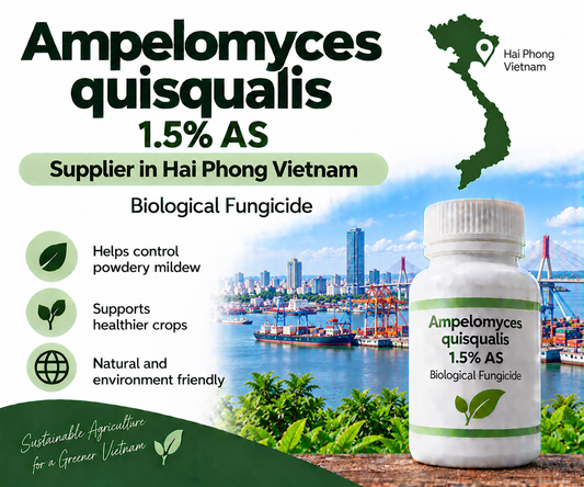 Ampelomyces quisqualis 1.5% AS Supplier in Hai Phong Vietnam | Biological Fungicide