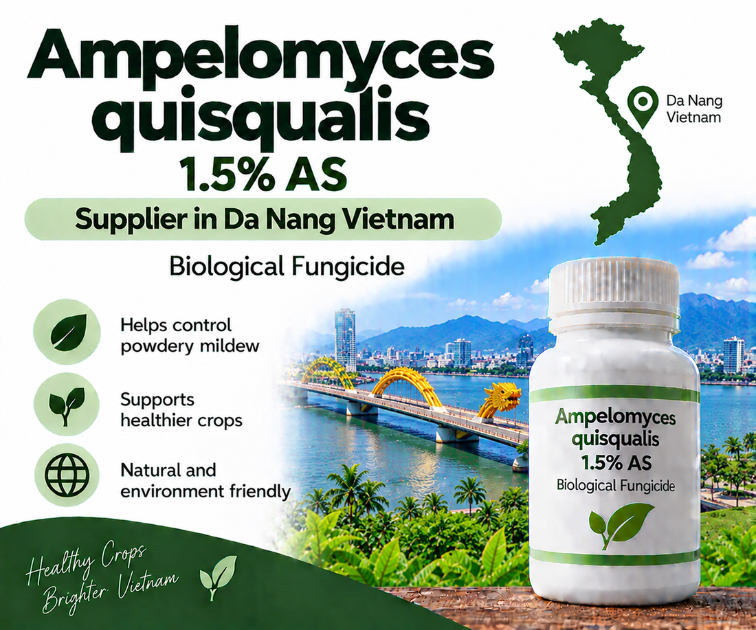 Ampelomyces quisqualis 1.5% AS Supplier in Da Nang Vietnam | Biological Fungicide