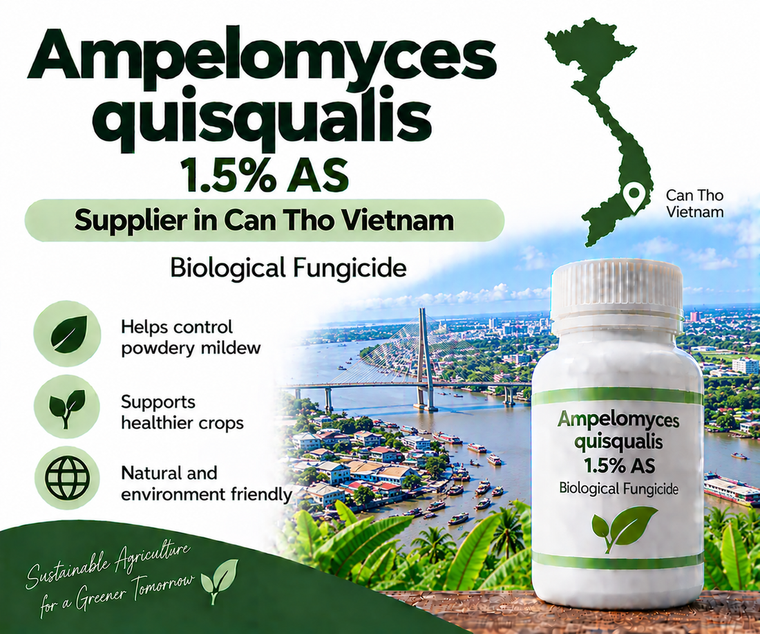 mpelomyces quisqualis 1.5% AS Supplier in Can Tho Vietnam | Biological Fungicide