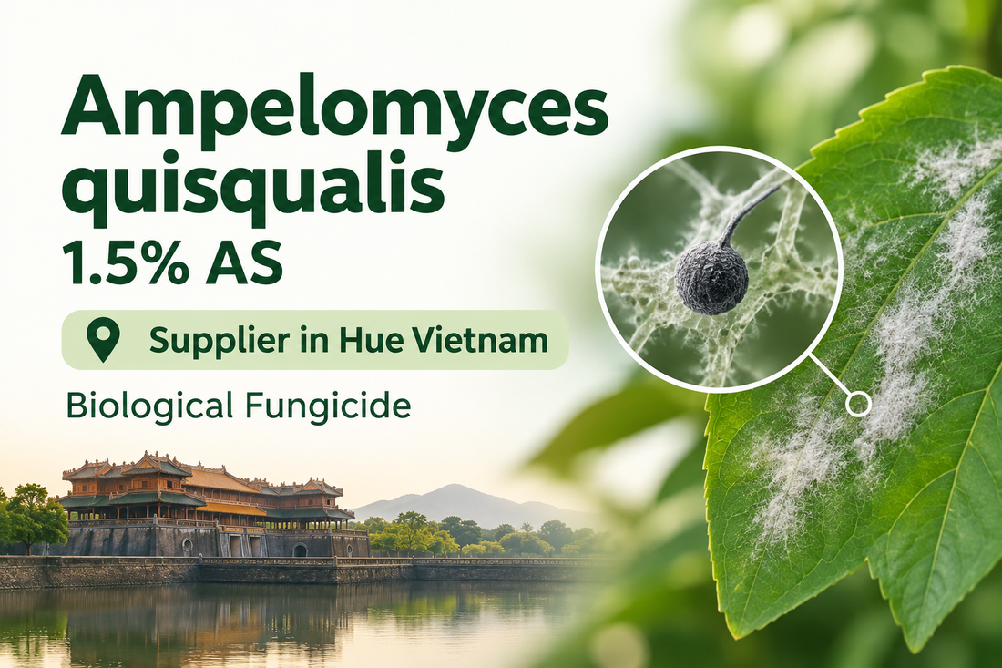 Ampelomyces quisqualis 1.5% AS Supplier in Hue Vietnam | Biological Fungicide