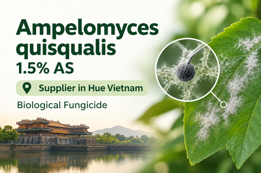 Ampelomyces quisqualis 1.5% AS Supplier in Hue Vietnam | Biological Fungicide