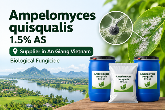 Ampelomyces quisqualis 1.5% AS Supplier in An Giang Vietnam | Biological Fungicide