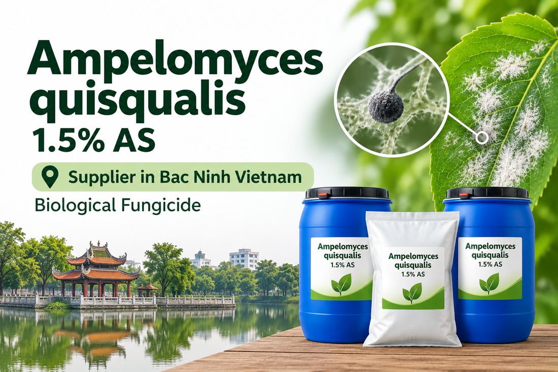 Ampelomyces quisqualis 1.5% AS Supplier in Bac Ninh Vietnam | Biological Fungicide