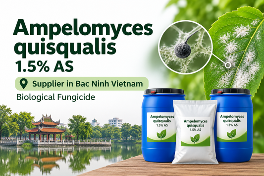 Ampelomyces quisqualis 1.5% AS Supplier in Bac Ninh Vietnam | Biological Fungicide