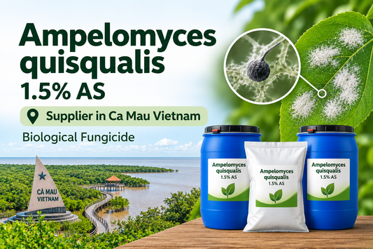 Ampelomyces quisqualis 1.5% AS Supplier in Ca Mau Vietnam | Biological Fungicide