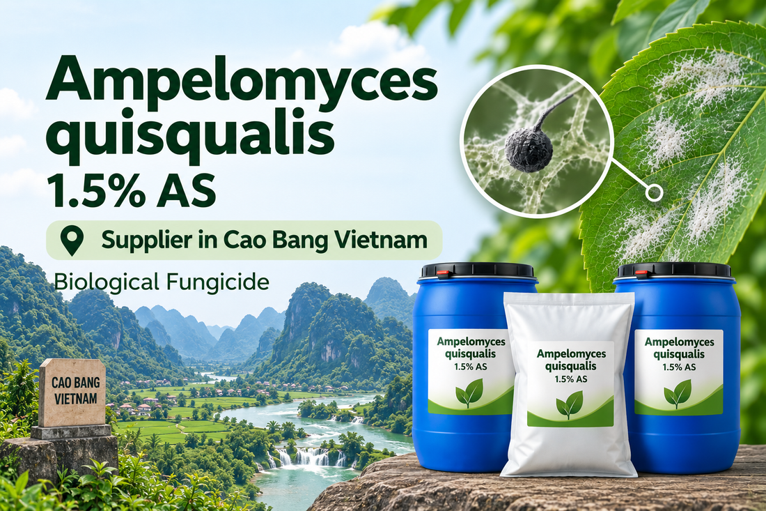 Ampelomyces quisqualis 1.5% AS Supplier in Cao Bang Vietnam | Biological Fungicide