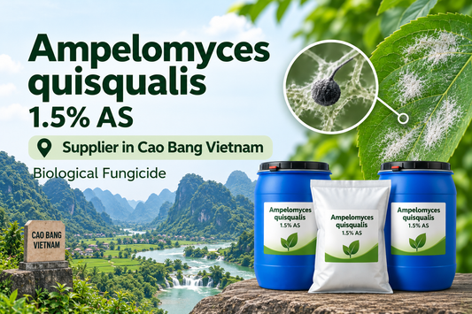 Ampelomyces quisqualis 1.5% AS Supplier in Cao Bang Vietnam | Biological Fungicide
