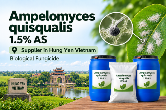 Ampelomyces quisqualis 1.5% AS Supplier in Hung Yen Vietnam | Biological Fungicide