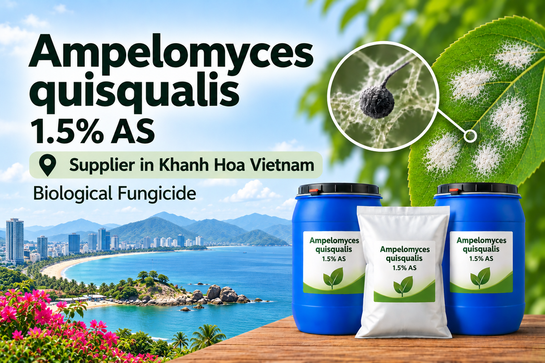 Ampelomyces quisqualis 1.5% AS Supplier in Khanh Hoa Vietnam | Biological Fungicide
