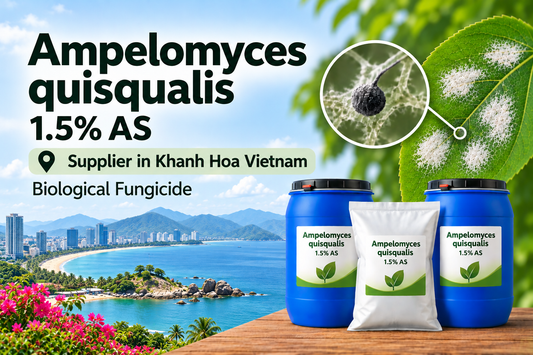 Ampelomyces quisqualis 1.5% AS Supplier in Khanh Hoa Vietnam | Biological Fungicide