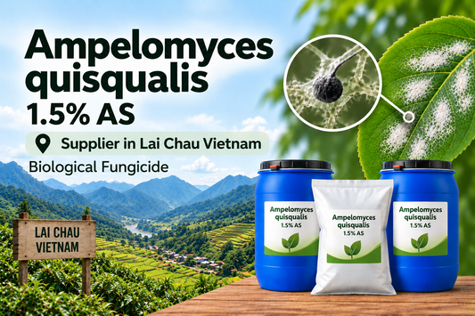 Ampelomyces quisqualis 1.5% AS Supplier in Lai Chau Vietnam | Biological Fungicide