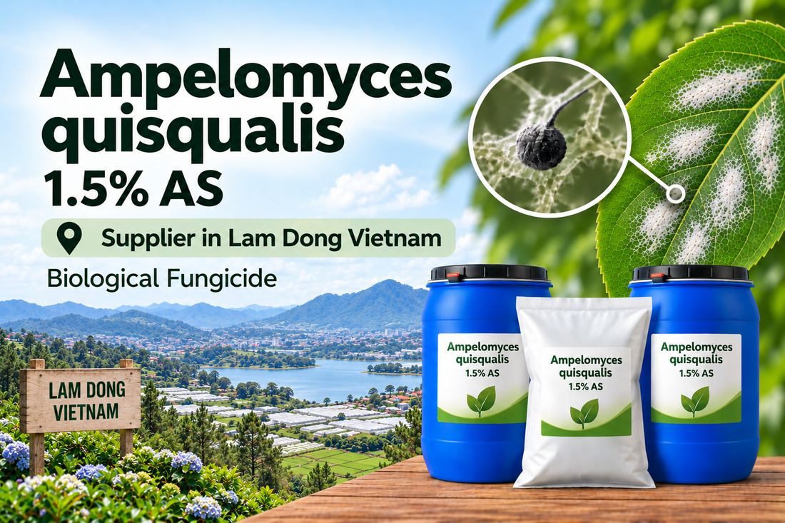 Ampelomyces quisqualis 1.5% AS Supplier in Lam Dong Vietnam | Biological Fungicide