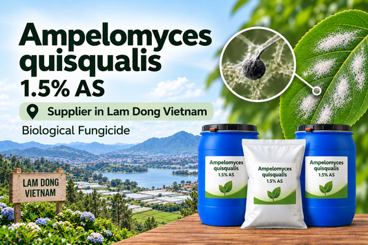 Ampelomyces quisqualis 1.5% AS Supplier in Lam Dong Vietnam | Biological Fungicide