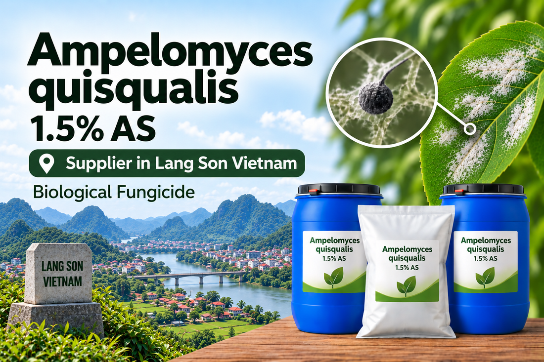 Ampelomyces quisqualis 1.5% AS Supplier in Lang Son Vietnam | Biological Fungicide