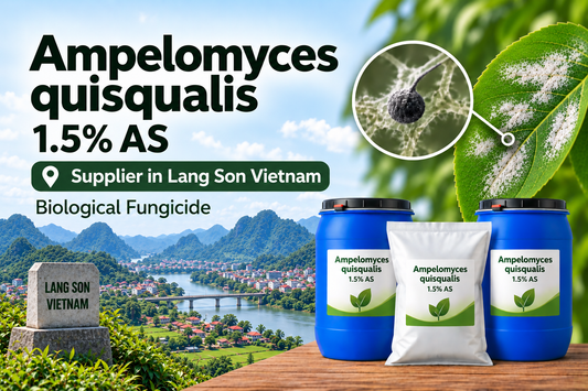 Ampelomyces quisqualis 1.5% AS Supplier in Lang Son Vietnam | Biological Fungicide