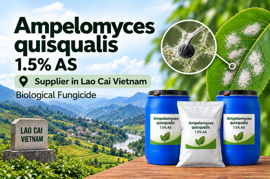 Ampelomyces quisqualis 1.5% AS Supplier in Lao Cai Vietnam | Biological Fungicide