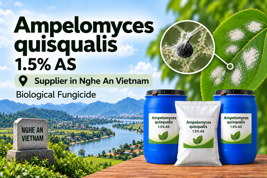 Ampelomyces quisqualis 1.5% AS Supplier in Nghe An Vietnam | Biological Fungicide