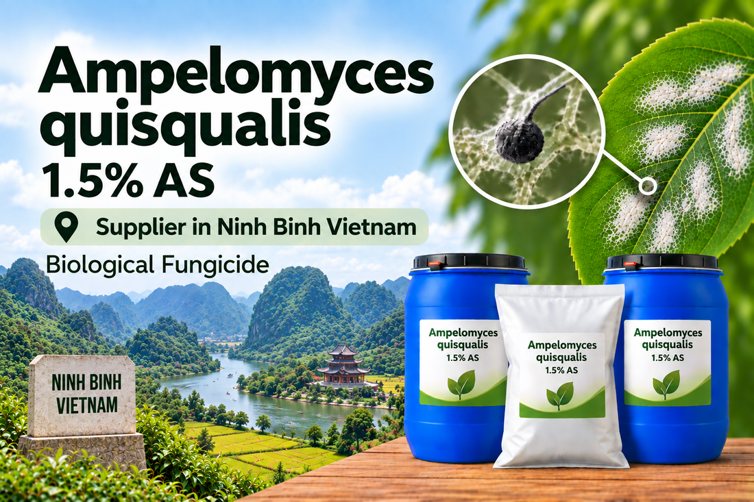 Ampelomyces quisqualis 1.5% AS Supplier in Ninh Binh Vietnam | Biological Fungicide