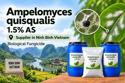 Ampelomyces quisqualis 1.5% AS Supplier in Ninh Binh Vietnam | Biological Fungicide