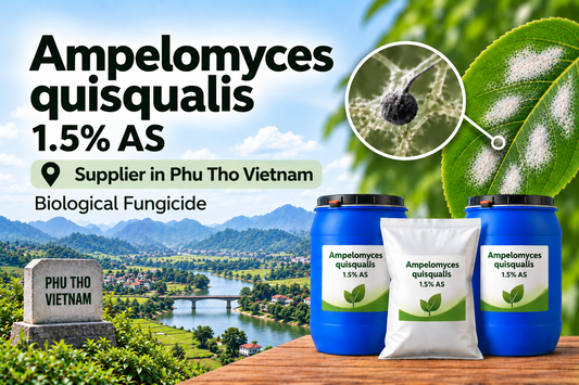 Ampelomyces quisqualis 1.5% AS Supplier in Phu Tho Vietnam | Biological Fungicide