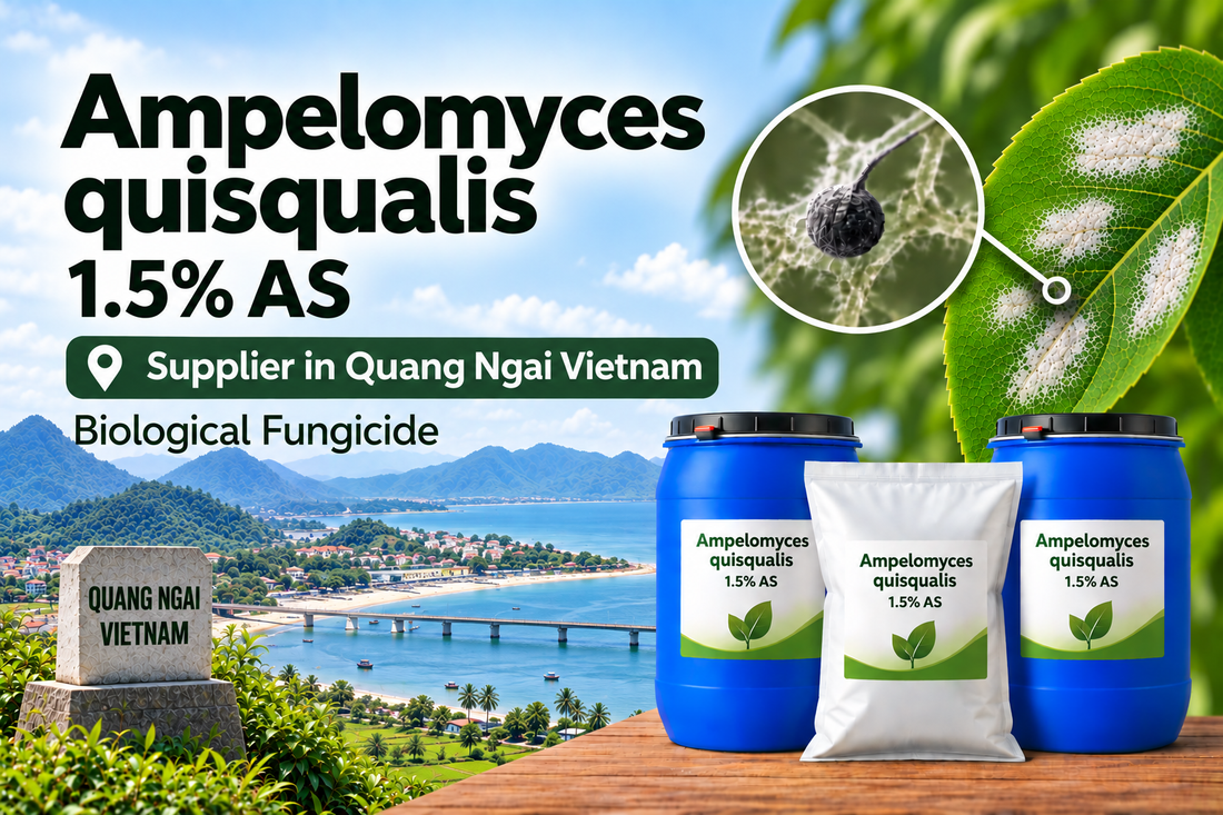 Ampelomyces quisqualis 1.5% AS Supplier in Quang Ngai Vietnam | Biological Fungicide