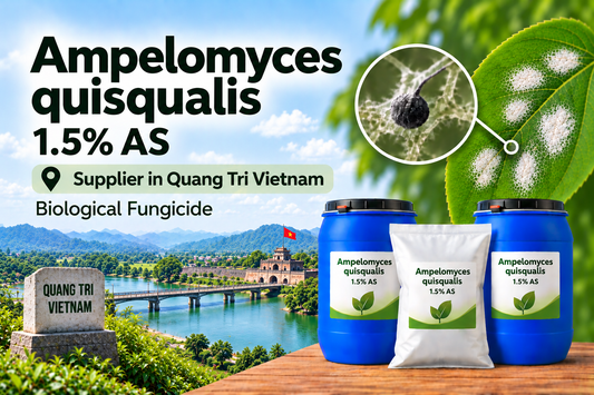 Ampelomyces quisqualis 1.5% AS Supplier in Quang Tri Vietnam | Biological Fungicide