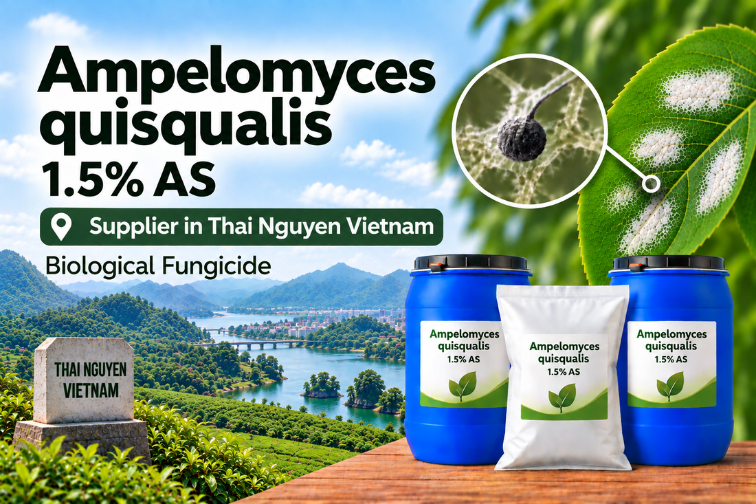 Ampelomyces quisqualis 1.5% AS Supplier in Thai Nguyen Vietnam | Biological Fungicide