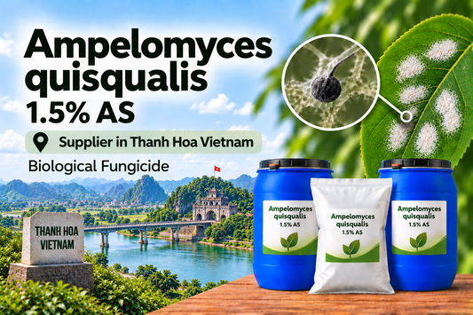 Ampelomyces quisqualis 1.5% AS Supplier in Thanh Hoa Vietnam | Biological Fungicide