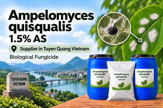 Ampelomyces quisqualis 1.5% AS Supplier in Tuyen Quang Vietnam | Biological Fungicide