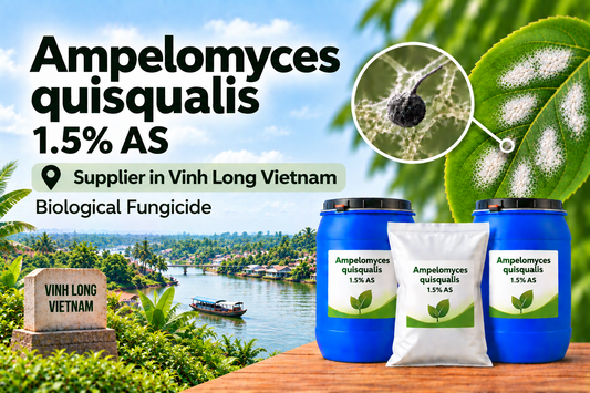 Ampelomyces quisqualis 1.5% AS Supplier in Vinh Long Vietnam | Biological Fungicide